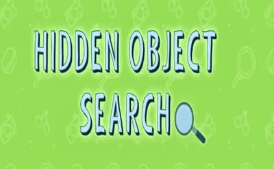 Hidden Object Search