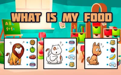 What Is My Food