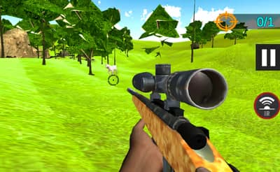 Animal Safari Hunting