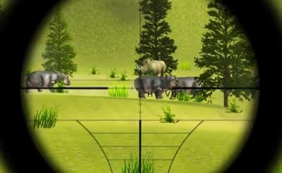 Classical Hippo Hunting