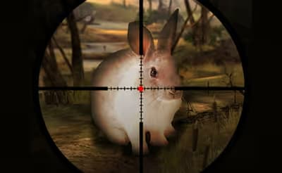 Classical Rabbit Hunting