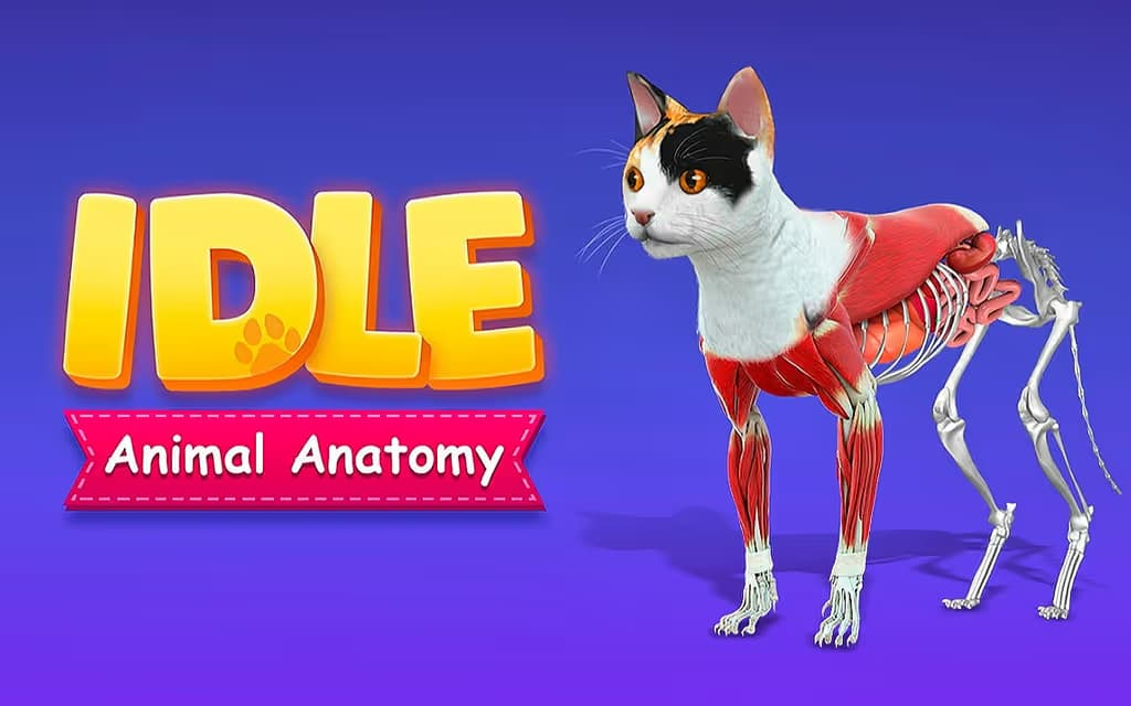 IDLE Animal Anatomy