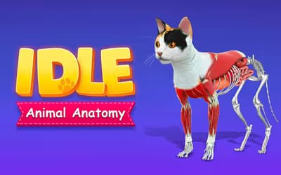 IDLE Animal Anatomy