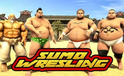 Sumo Wrestling