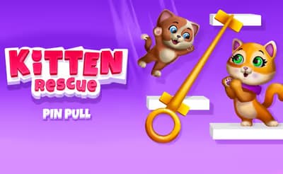 Kitten Rescue - Pin Pull