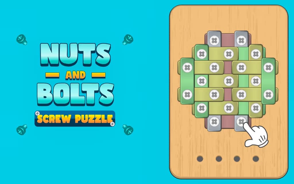Nuts And Bolts Screw Puzzle