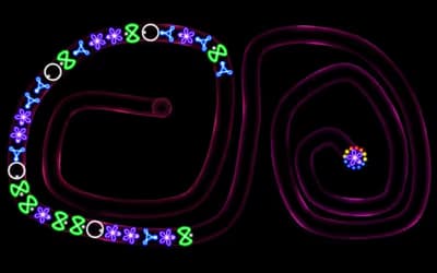 TD Neon Shoot - Zuma