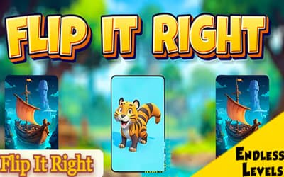 Flip It Right