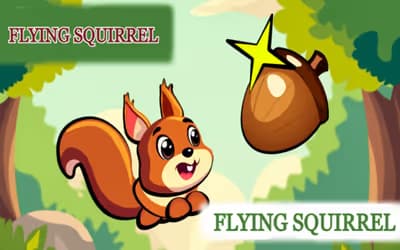 Flying Squirrel
